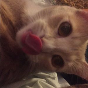 Meet your Posher, Bianca